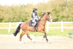 SBM_002495
