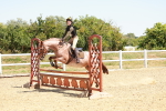 SBM_003682