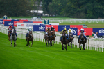 080925-Pony Racing-Shes A Corker-7055
