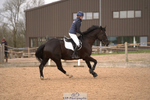 Cls 36 1.10m National Amateur Quali portfolio