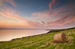 Summer Bales