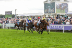 230824-Race 7-Treasure Time-8566