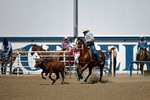 3HRodeo8-11-25_PRCASteer_07580_