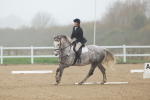 SBM_001231