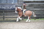 SBM_006161