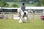 SBM_17181