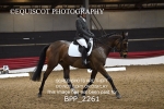 BPP_2261