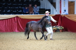 SBM_21796