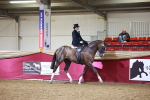 SBM_15011