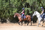 WJ6_8444