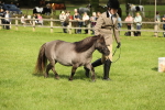 SBM_62795