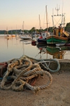 <center>All Quiet on the Quay</center>