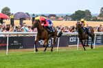 280726-Race 5-Norcross Brow-1245