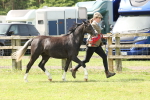SBM_02431