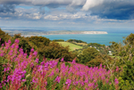 z2134 A Summetime View, Ventnor Down
