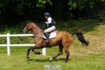 453-BILLY_WONDER-Pippa_Funnell-XC portfolio