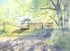 'Summer Camping'