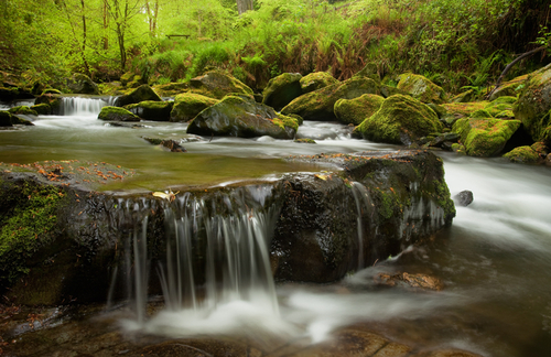 Ballaglass on a wet day in the early morning light. The wet conditions bringing out the colours of the mosses and fre…