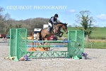 BPP_3536