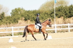 SBM_016972