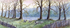 By the lake