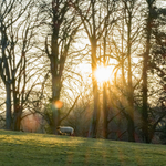 3rd March Sun Rays