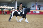 SBM_09734