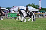 SBM_19391
