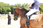 SBM_009621