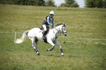 BVHT 140517  IXC -676