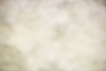 SBM_008818