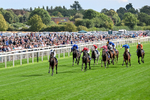 190826-Race 5-Small Fry-0632