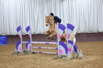SBM_002342