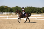 SBM_005781