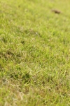 SBM_00691