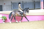 SBM_03342