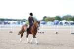 SBM_16758