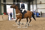 BPP_6318