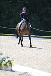 C-205-Harry.Meade-IF.IN.DOUBT portfolio