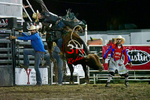 3HRodeo8-5-24_CFD_3HR-YUMA- 6203_