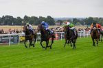290826-Race 1-Trilby-5249