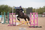 Tuesday 25th Club and Schools - Click to View portfolio