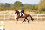 SBM_018339
