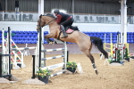 Class 24 - Senior Foxhunter 1.20m portfolio