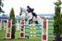 EQUISCOT 9238