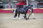 SBM_00559