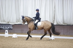 SBM_007260