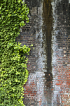 Under Ivy Bridge