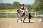 SBM_009498