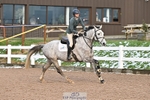 Cls 13 Foxhunter and 1.20m Open portfolio